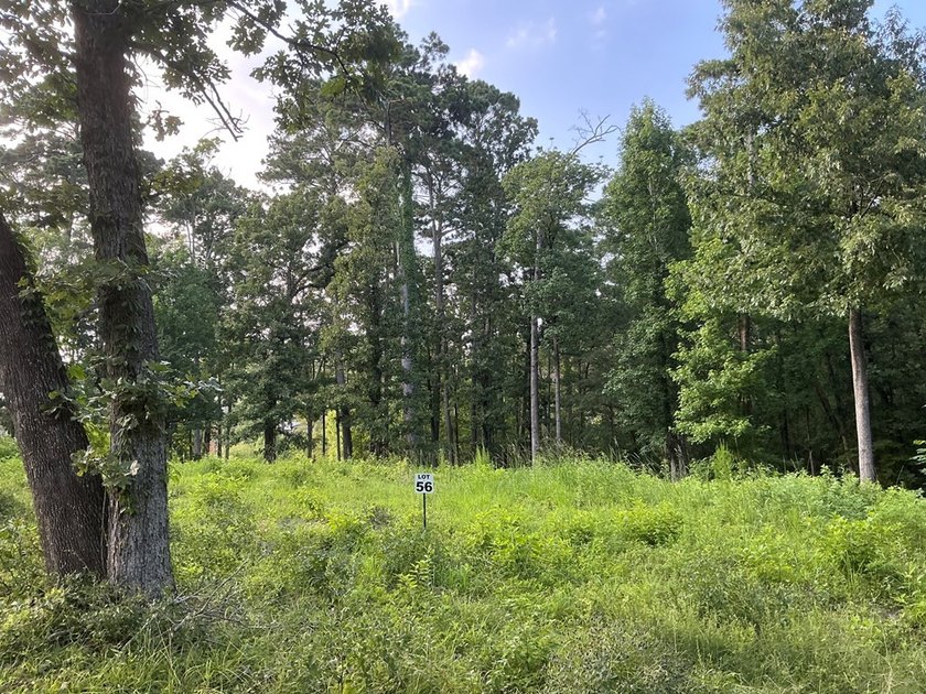 Here's your chance to own 3 adjoining waterfront lots in a Lake - photo 12