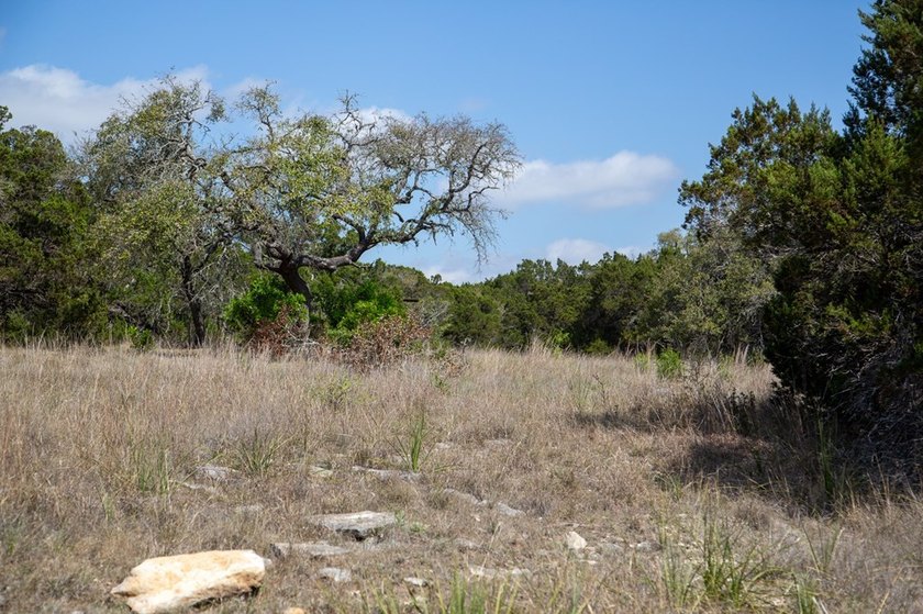 Beautiful hill country home on 59+/- acres!!! This amazing - photo 35
