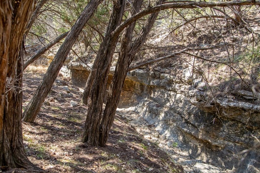 Beautiful hill country home on 59+/- acres!!! This amazing - photo 36