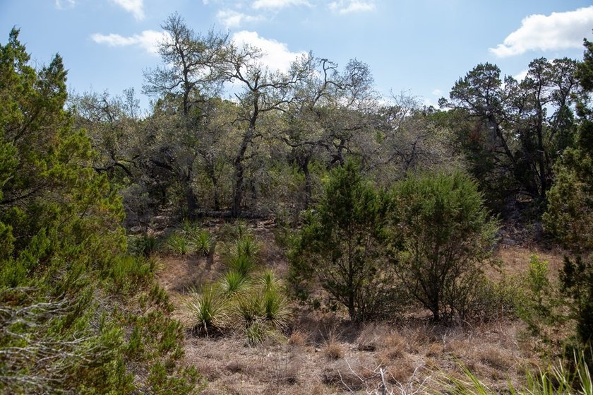 Beautiful hill country home on 59+/- acres!!! This amazing - photo 37