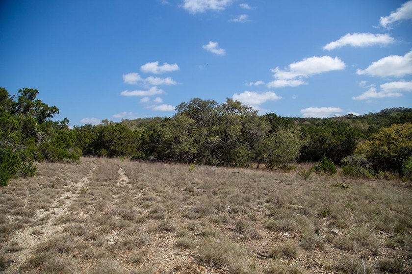 Beautiful hill country home on 59+/- acres!!! This amazing - photo 42