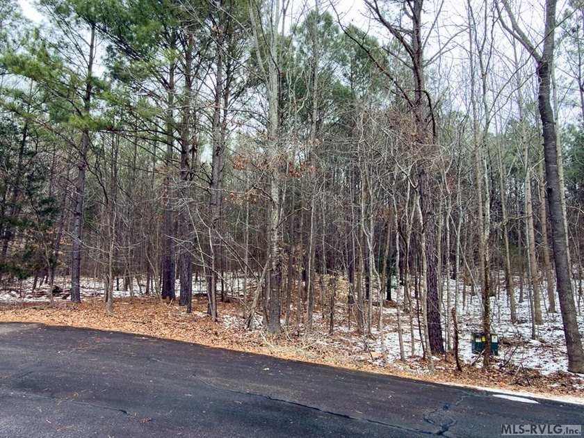 Tucked within the gates of Harbor Landing, Lot 67 offers just - photo 3