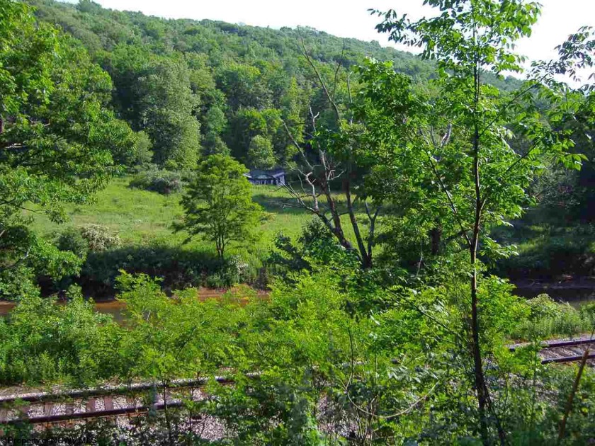 Washington Highway, Gormania, WV 26720, 2124908