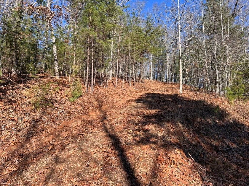 This 1.26 acre lot has foundation, septic, water, and power!!! - photo 9