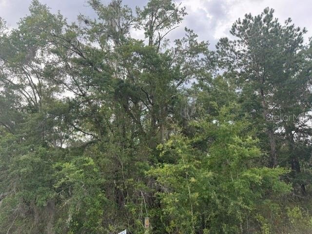 One acre homesite with paved road frontage. Located near - photo 3