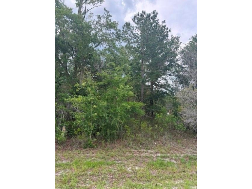One acre homesite with paved road frontage. Located near - photo 4