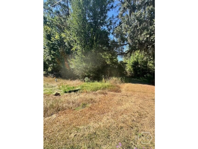 This exceptional +/-53-acre parcel is located on US Highway 17 - photo 3