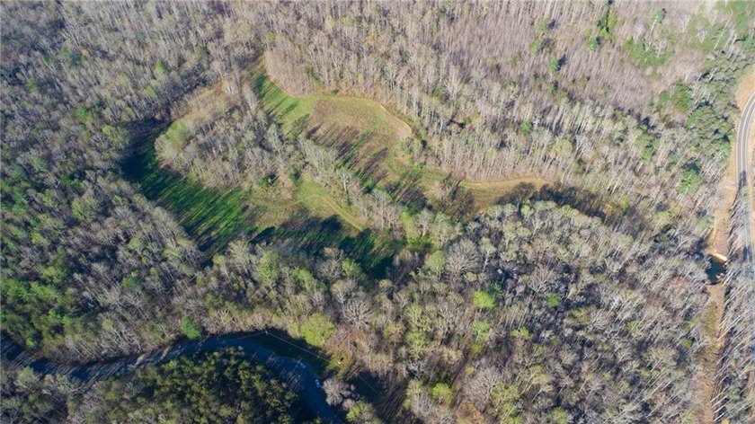 Come and see this incredibly beautiful 25+ acres of unrestricted - photo 12