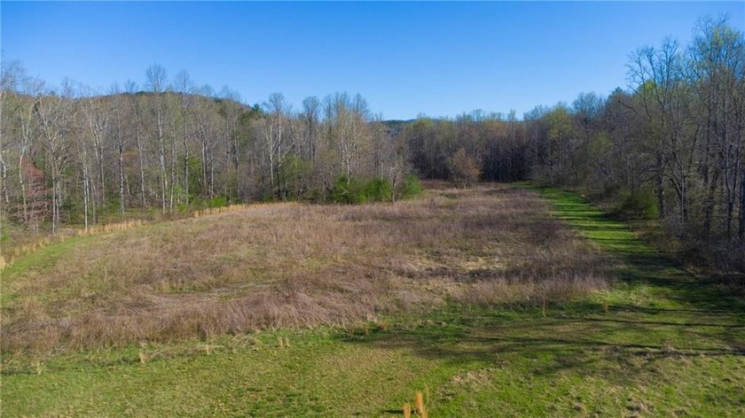 Come and see this incredibly beautiful 25+ acres of unrestricted - photo 15