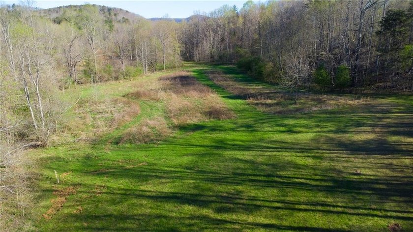 Come and see this incredibly beautiful 25+ acres of unrestricted - photo 16