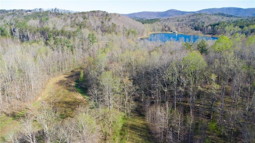 Come and see this incredibly beautiful 25+ acres of unrestricted - photo 18