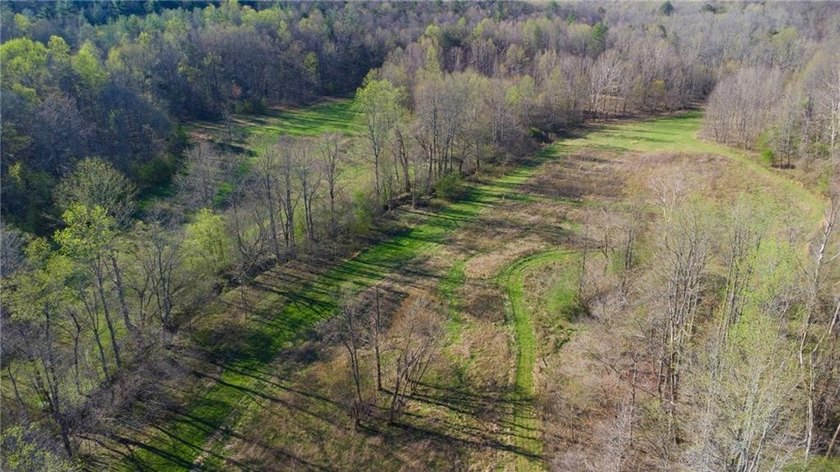 Come and see this incredibly beautiful 25+ acres of unrestricted - photo 19