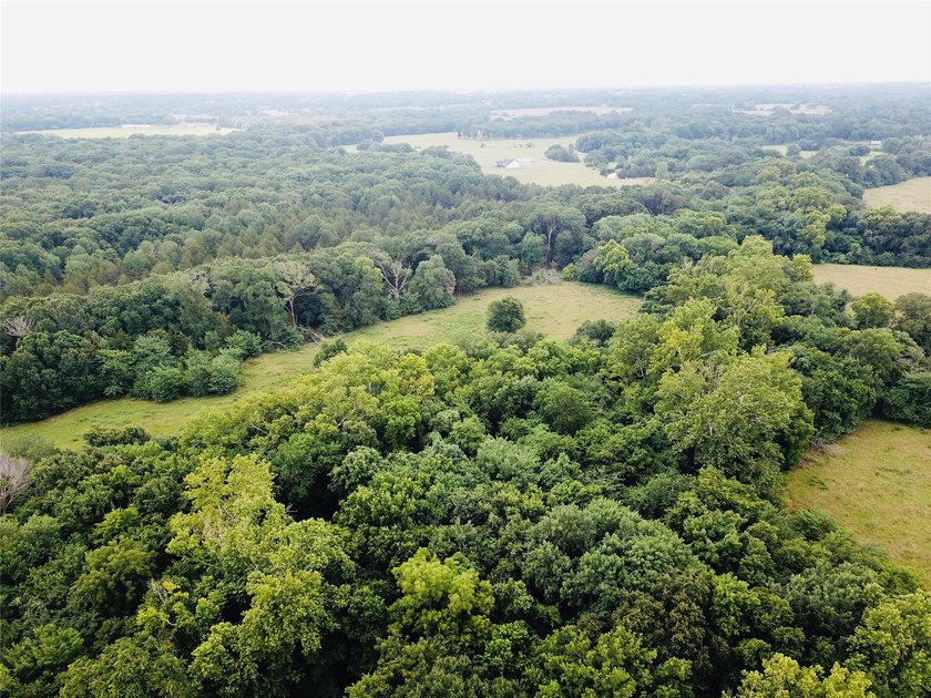Quiet and peaceful 11 acres surveyed and ready to build your - photo 8