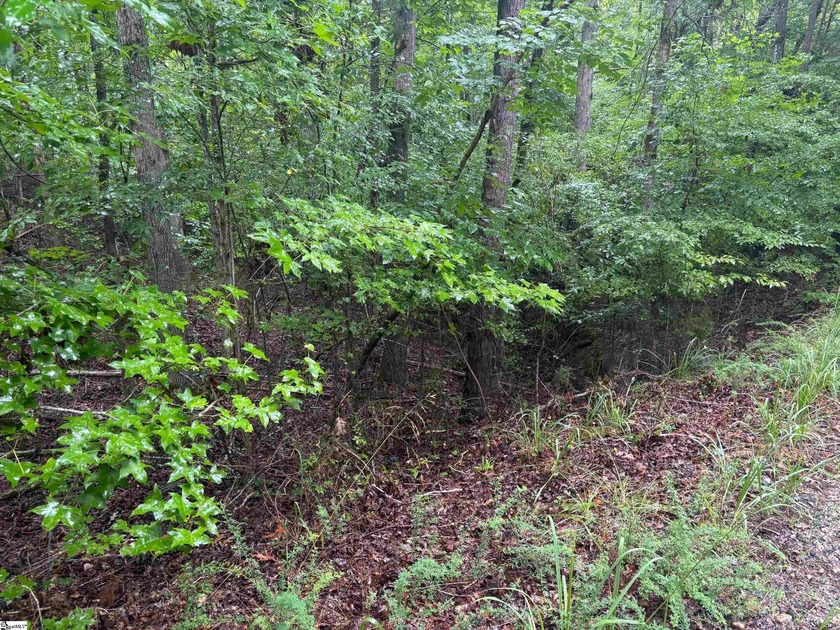 1.37 ACRES ON LAKE RUSSELL - Beautiful lake lot on Lake Russell - photo 5