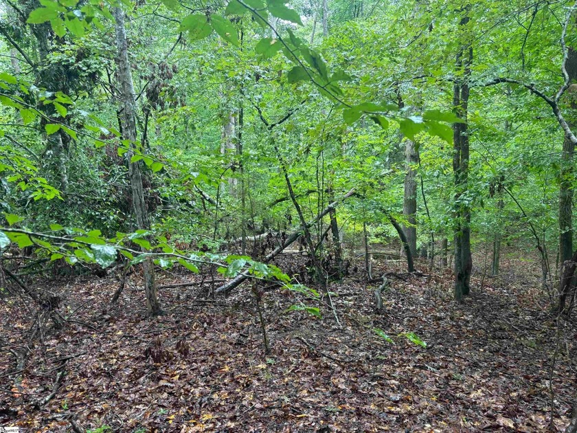 1.37 ACRES ON LAKE RUSSELL - Beautiful lake lot on Lake Russell - photo 6