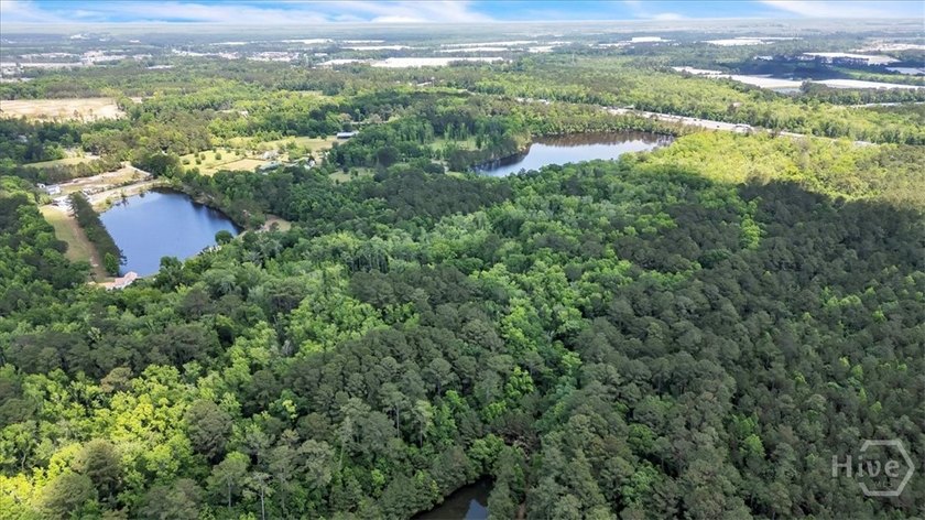 +/-15 acres (2.78 uplands) adjacent to the Highlands Business - photo 3