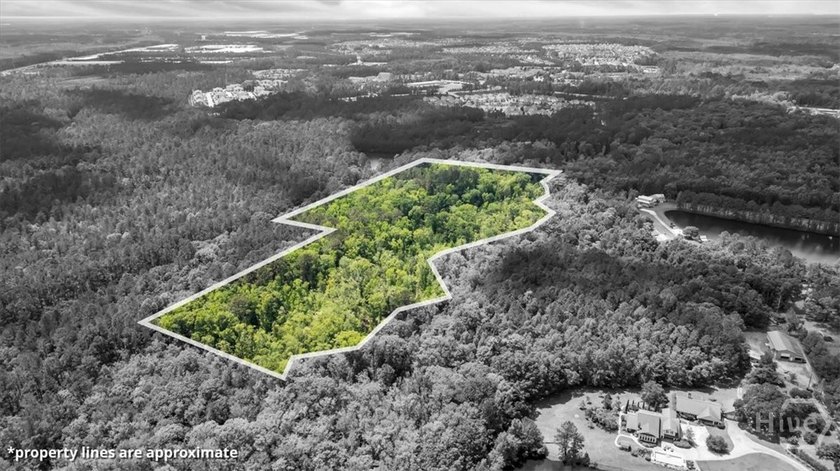 +/-15 acres (2.78 uplands) adjacent to the Highlands Business - photo 8