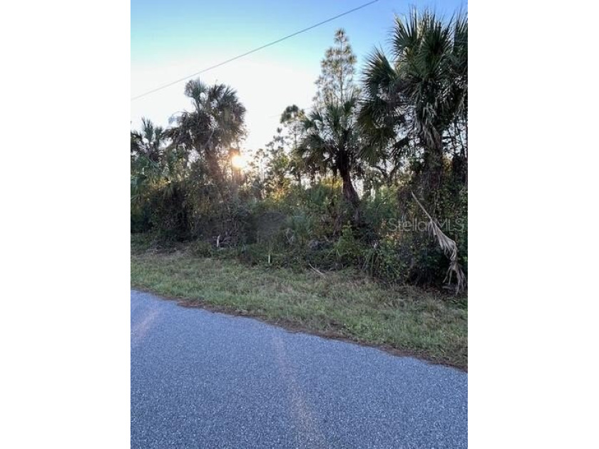 A perfect spot for your new home in paradise.This standard-sized - photo 2