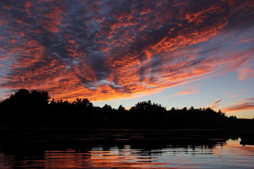 The Good Life on Pool Pond in Rindge NH SOLD - photo 7