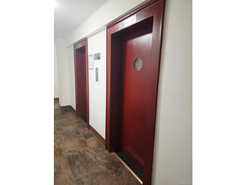 L-shape studio located in the heart of Jamaica Hills. Well - photo 4