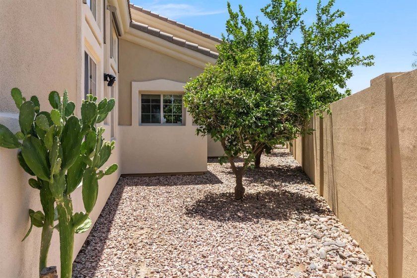 Experience luxury and space in this rare to market 3,646 sqft - photo 34