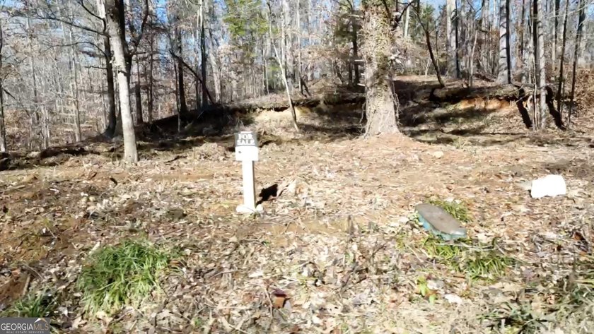 Large private estate lots surrounded by woods &amp; creeks in a park - photo 5