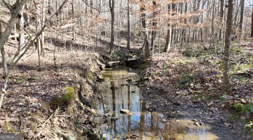 Large private estate lots surrounded by woods &amp; creeks in a park - photo 8