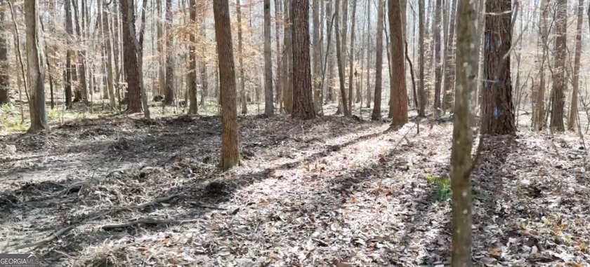 Large private estate lots surrounded by woods &amp; creeks in a park - photo 10