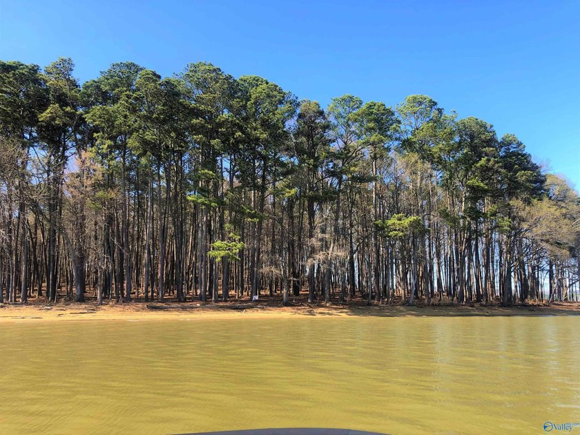 Island delight sitting on .56 acres is waiting for you! Bring - photo 2