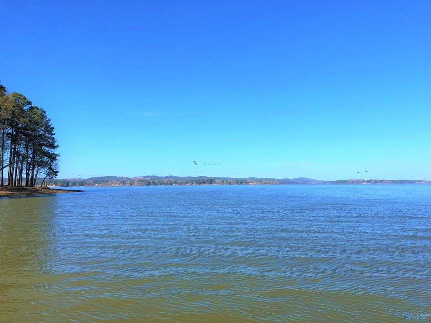 The Sandy shores of Little River Landing are ready and waiting - photo 3