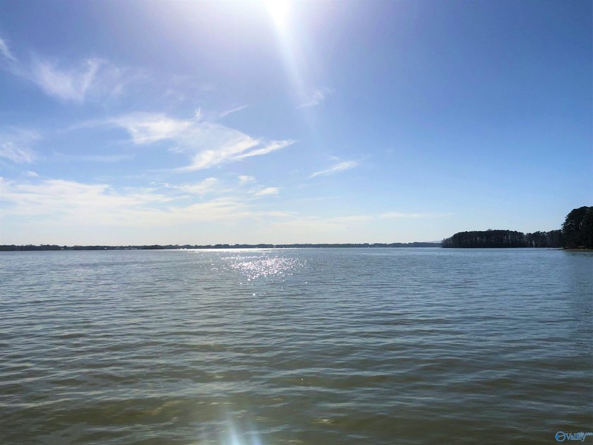 Oh, the joy of owning a property on Little River Landing - photo 3