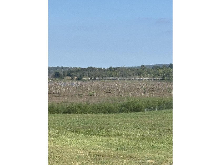 This property offers alot! Right across street from Conway Lake - photo 5