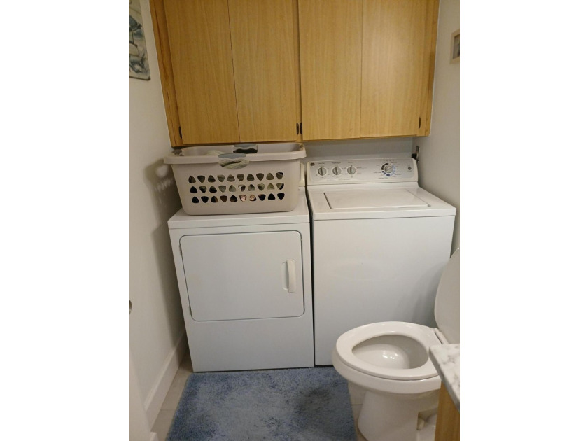 Centrally located large townhome with tile on 1st floor, wood on - photo 11