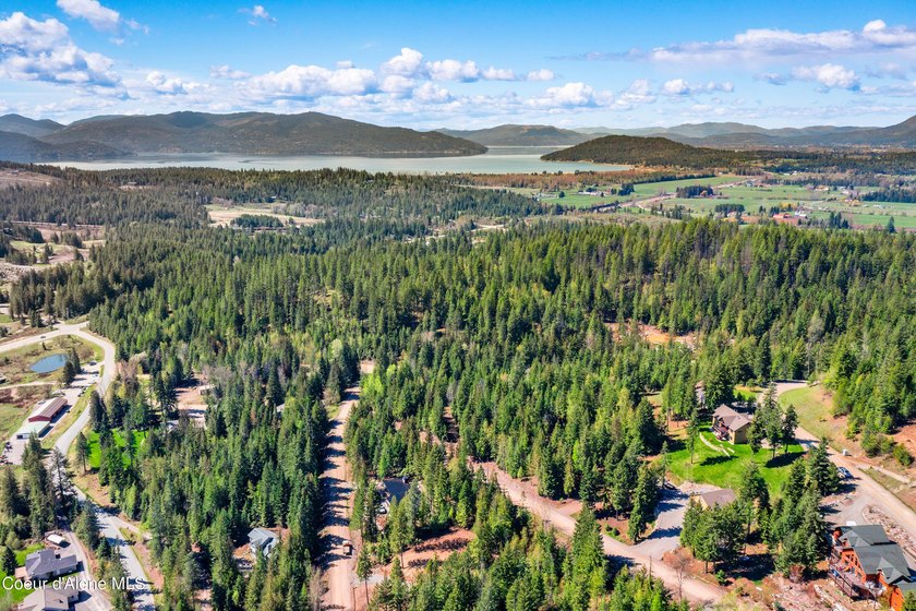 Perched above The Idaho Club, this exceptional luxury home - photo 44