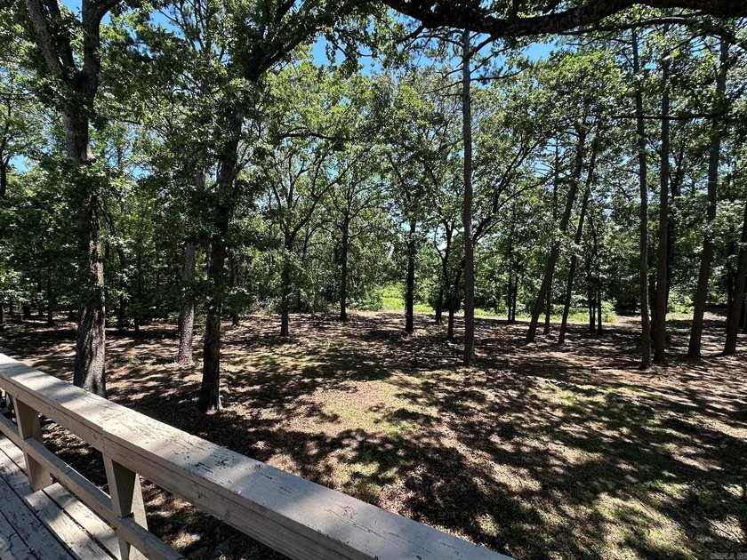 An incredible opportunity to own one of the most unique lots on - photo 22