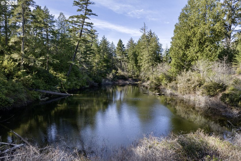 First time on the market, this custom-built retreat offers your - photo 39