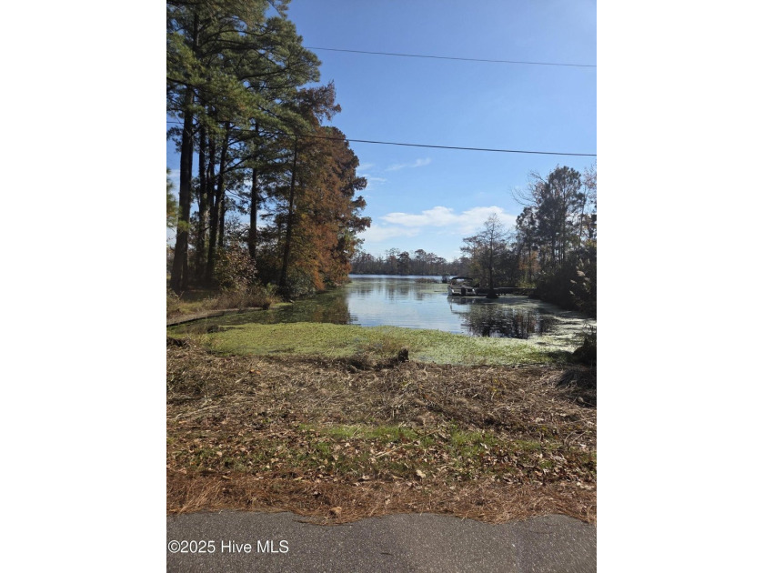 You must see this beautiful 0.92 acre wooded, triangular corner - photo 3