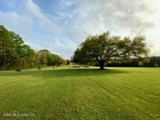 Welcome to 1021 Elarton Rd in Osyka, MS! This property offers - photo 2