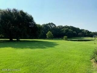 Welcome to 1021 Elarton Rd in Osyka, MS! This property offers - photo 4