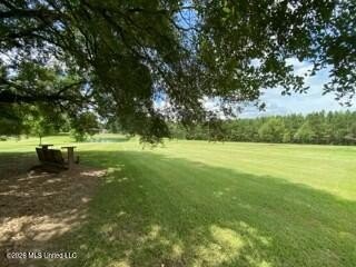 Welcome to 1021 Elarton Rd in Osyka, MS! This property offers - photo 6