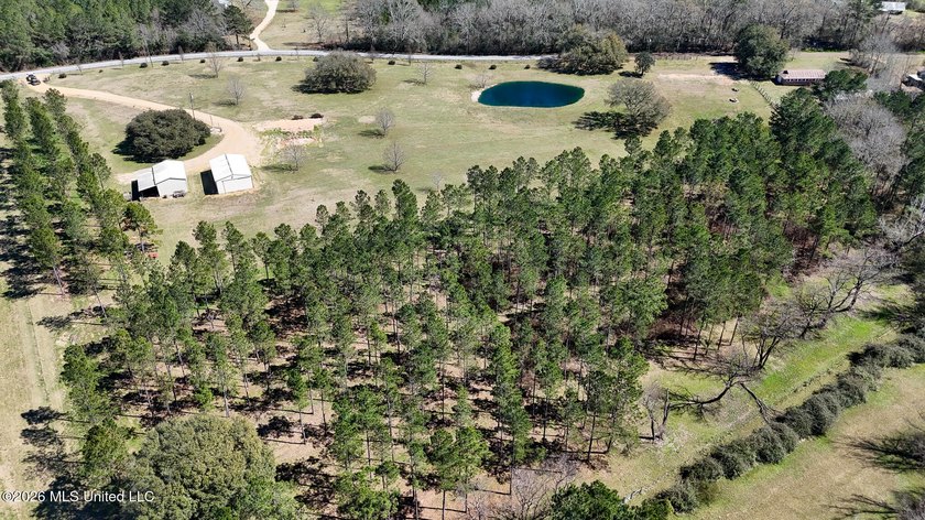 Welcome to 1021 Elarton Rd in Osyka, MS! This property offers - photo 7
