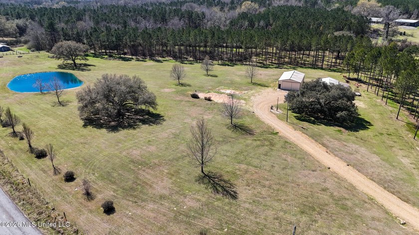 Welcome to 1021 Elarton Rd in Osyka, MS! This property offers - photo 10