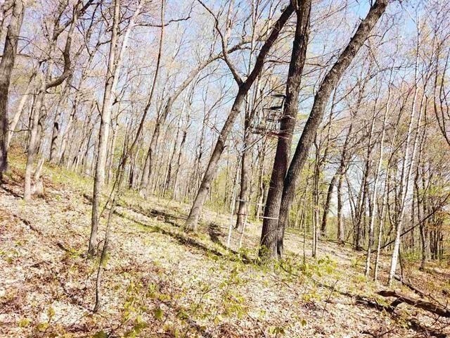 6.88-acre recreational property featuring a private pond, sand - photo 16