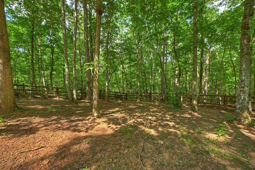 Welcome to your North Georgia mountain retreat! Tucked away on a - photo 32