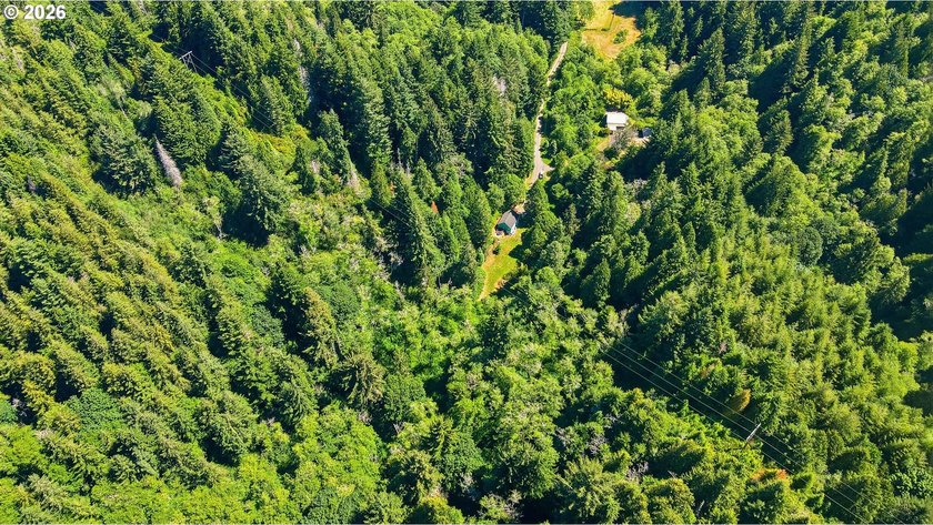 Tucked away at the end of a private driveway, this secluded and - photo 41