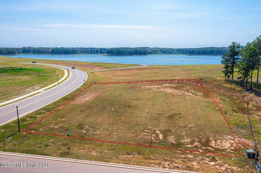 Great opportunity to craft your dream home in Reunion! Corner - photo 2