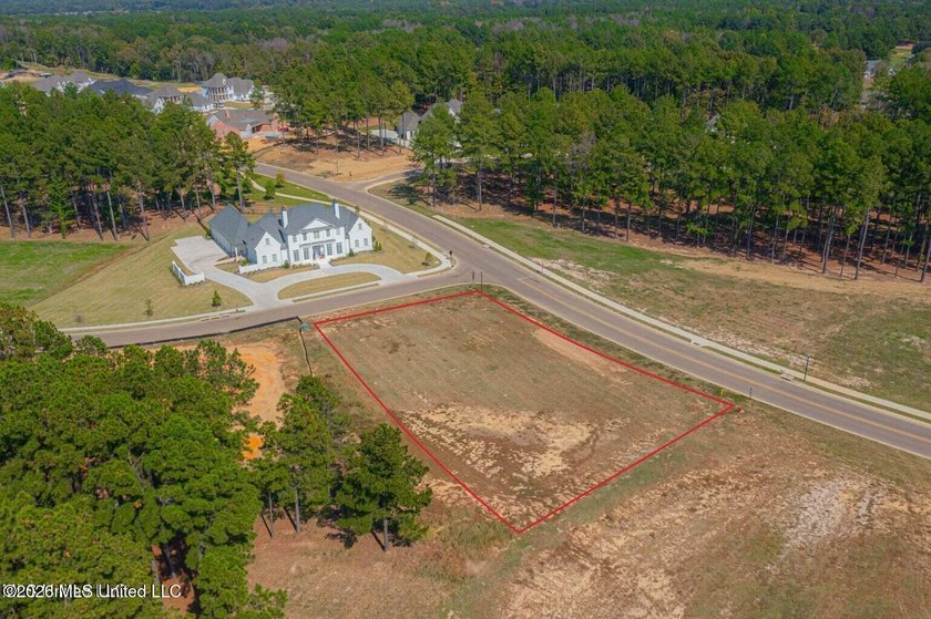 Great opportunity to craft your dream home in Reunion! Corner - photo 4