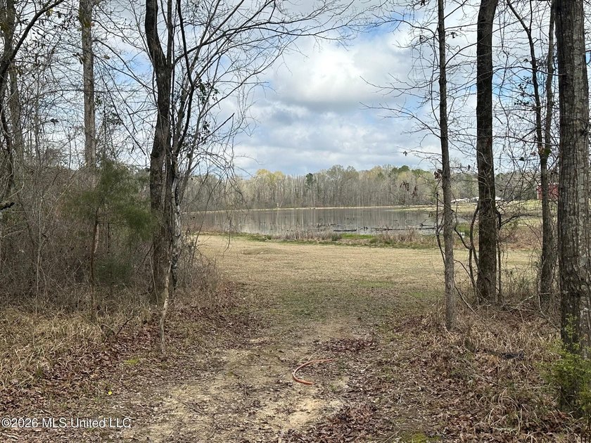 Beautiful 23 acre lakefront tract located on Barnes Road just - photo 5
