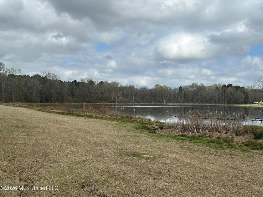 Beautiful 23 acre lakefront tract located on Barnes Road just - photo 6
