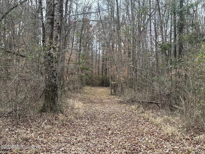 Beautiful 23 acre lakefront tract located on Barnes Road just - photo 8